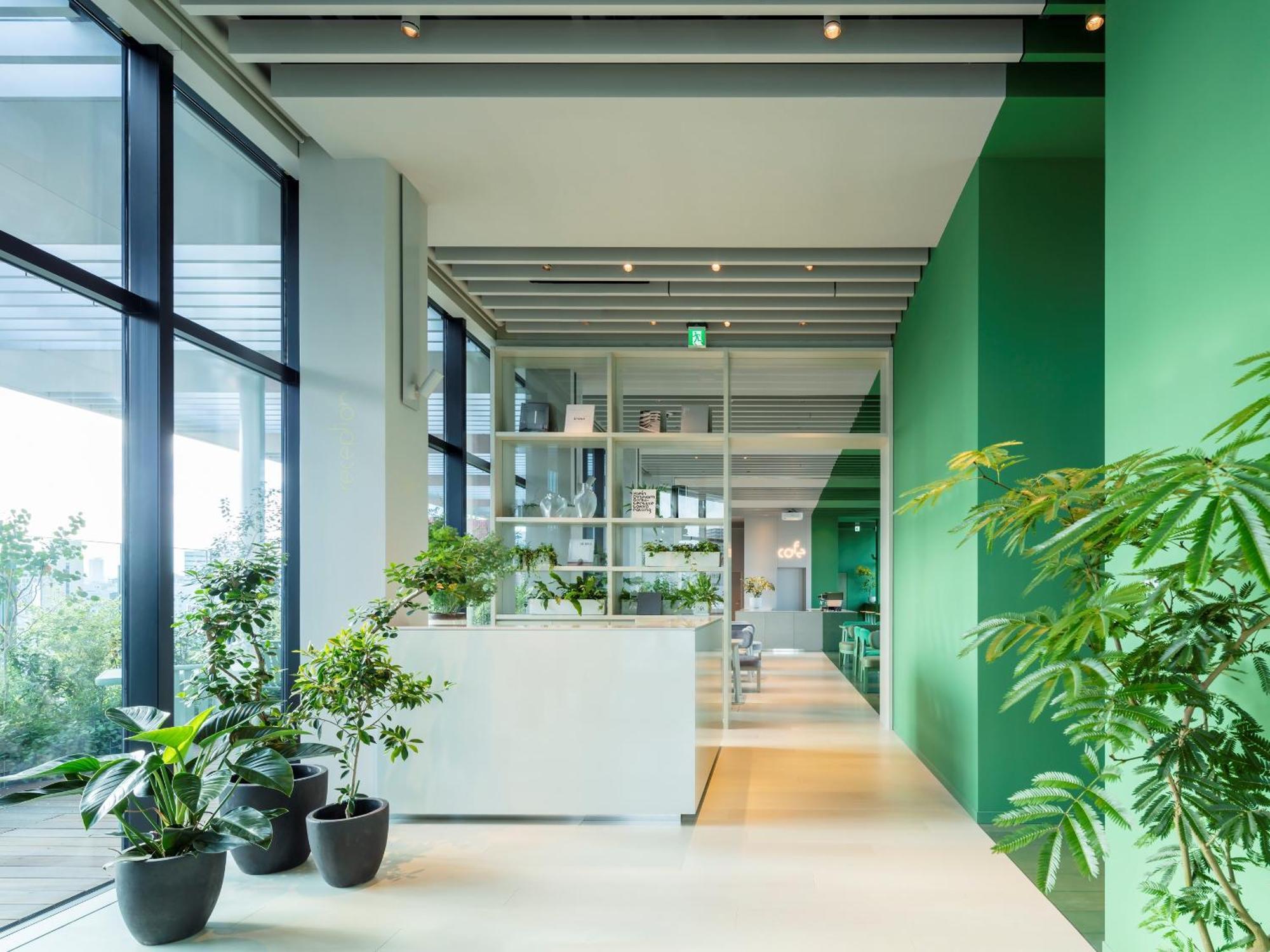 Toggle Hotel Suidobashi Tokio Zewnętrze zdjęcie